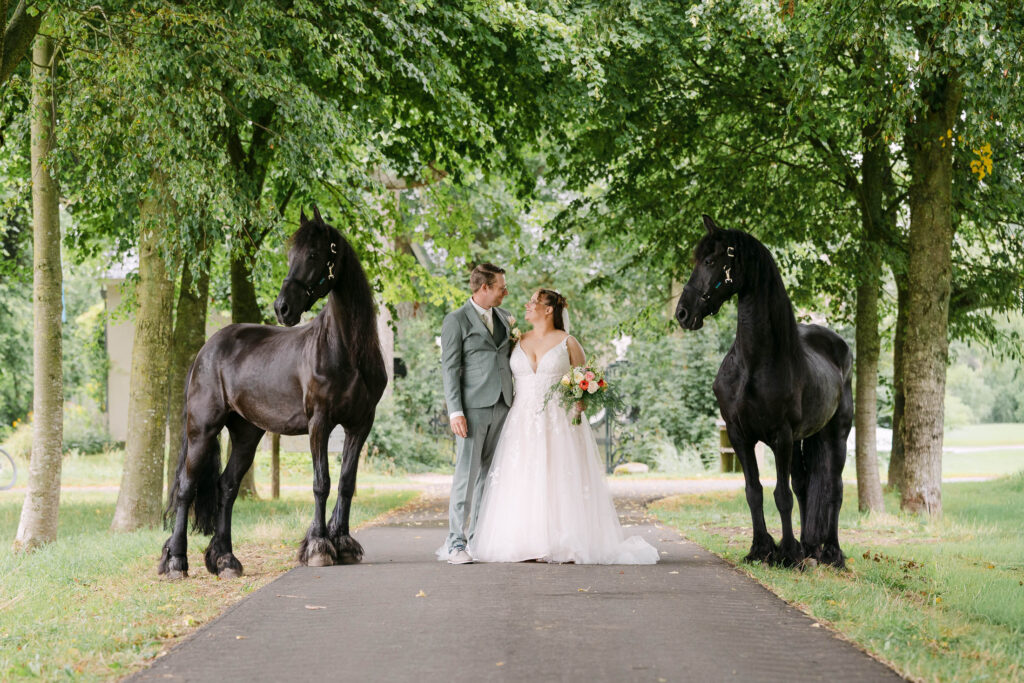 Bruiloft foto's Online afbeelding - 25 juli 2025 - LR - 0001